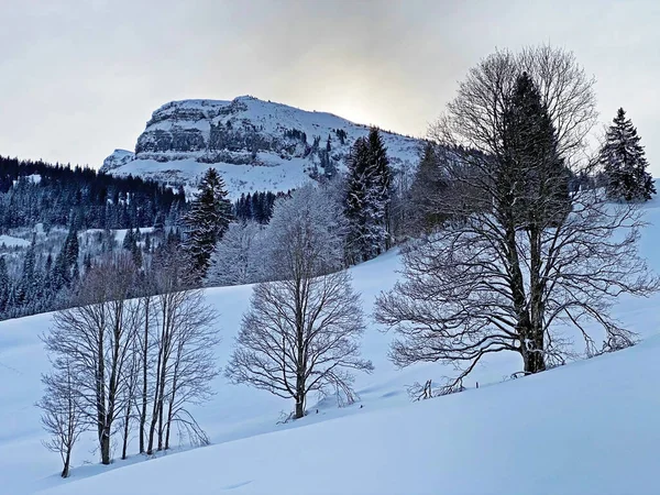 Atmosfera Invernale Ghiaccio Con Neve Fresca Sul Picco Alpino Chaeserrugg — Foto Stock