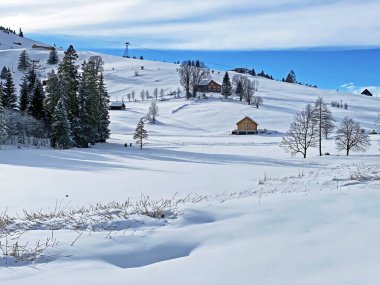 İsviçre 'nin Obertoggenburg bölgesindeki Obertoggenburg Alpleri' nin otlaklarında ve tepelerinde inanılmaz güzel bir kış atmosferi var.)