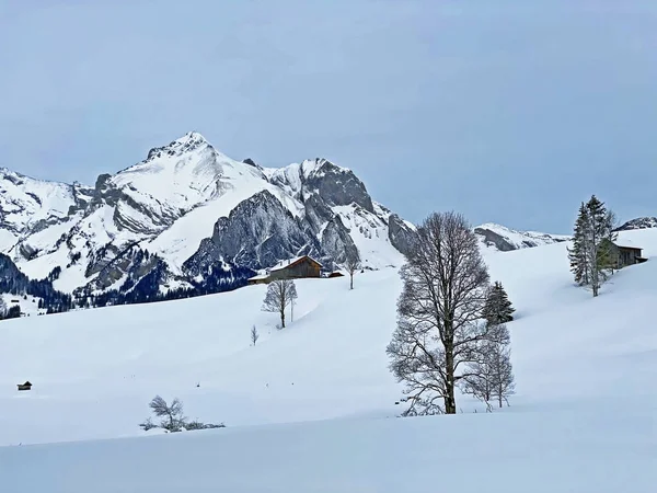 Невероятно Красивая Зимняя Атмосфера Склонах Склонах Швейцарских Альп Регионе Фатхбург — стоковое фото