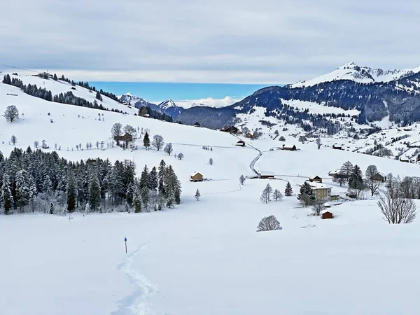 İsviçre 'nin Obertoggenburg bölgesindeki Obertoggenburg Alpleri' nin otlaklarında ve tepelerinde inanılmaz güzel bir kış atmosferi var.)