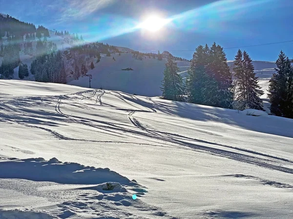 Unbelievably Beautiful Winter Atmosphere Pastures Hills Swiss Alps Obertoggenburg Region — Stock Photo, Image