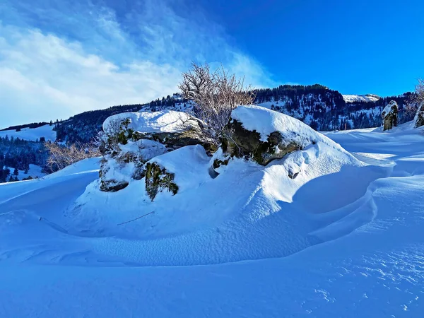 Increíblemente Hermosa Atmósfera Invernal Los Pastos Colinas Los Alpes Suizos —  Fotos de Stock