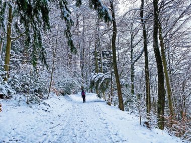 Rigi Dağı 'nın yamaçlarında ve Lucerne Gölü üzerinde (Vierwaldstttersee veya Vierwaldstaettersee), Weggis - İsviçre