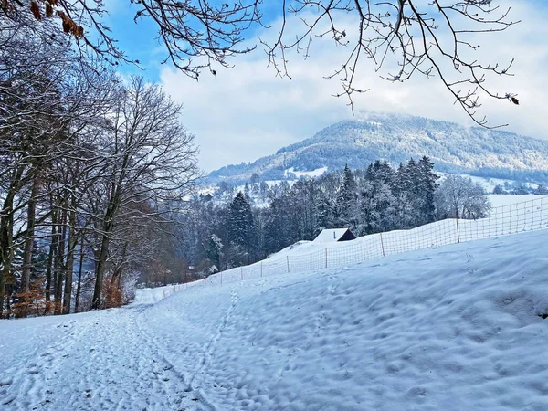 素晴らしい冬のハイキングコースとリギ山の斜面やルツェルン湖 VierwaldstterseeまたはVierwaldstettersee Wegis スイス — ストック写真