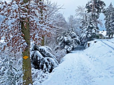 Rigi Dağı 'nın yamaçlarında ve Lucerne Gölü üzerinde (Vierwaldstattersee veya Vierwaldstaettersee), Weggis - İsviçre