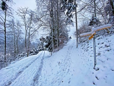Rigi Dağı 'nın yamaçlarında ve Lucerne Gölü üzerinde (Vierwaldstattersee veya Vierwaldstaettersee), Weggis - İsviçre