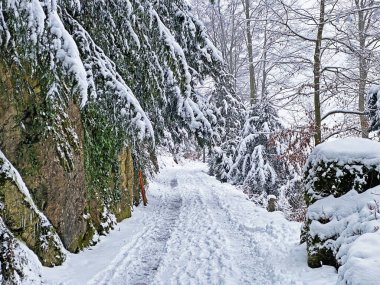 Rigi Dağı 'nın yamaçlarında ve Lucerne Gölü üzerinde (Vierwaldstattersee veya Vierwaldstaettersee), Weggis - İsviçre