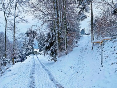 Rigi Dağı 'nın yamaçlarında ve Lucerne Gölü üzerinde (Vierwaldstattersee veya Vierwaldstaettersee), Weggis - İsviçre