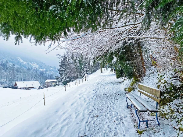 Wspaniałe Zimowe Szlaki Turystyczne Ślady Świeżym Pokrywie Śnieżnej Alpejskiej Stokach — Zdjęcie stockowe