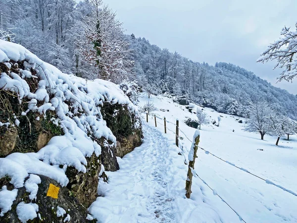 Splendidi Sentieri Escursionistici Invernali Tracce Sulla Fresca Neve Alpina Sulle — Foto Stock