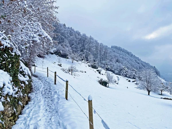 Wunderschöne Winterwanderwege Und Spuren Der Frischen Alpinen Schneedecke Den Hängen — Stockfoto