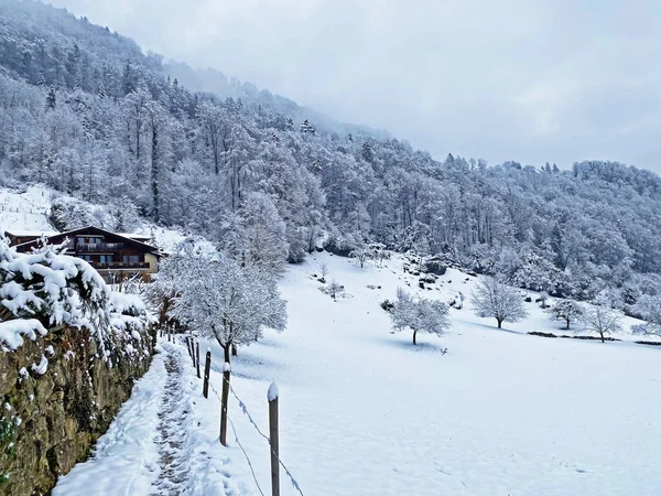 Splendidi Sentieri Escursionistici Invernali Tracce Sulla Fresca Neve Alpina Sulle — Foto Stock