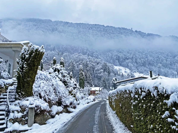 Sentiers Pédestres Pédestres Sportifs Récréatifs Dans Environnement Hivernal Montagne Rigi — Photo