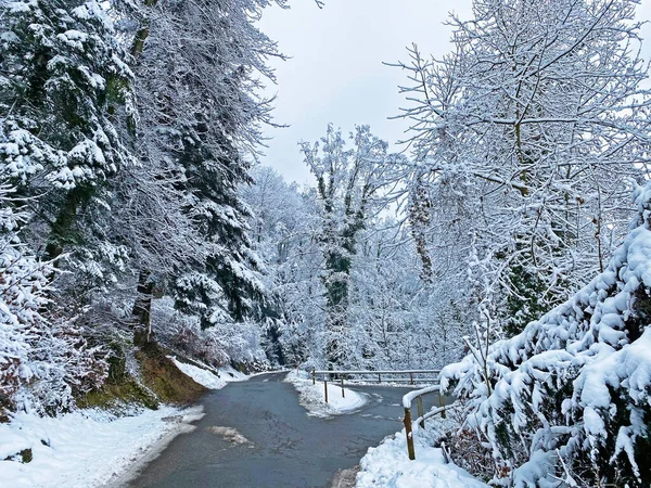 Trails for walking, hiking, sports and recreation in the winter environment of the mountain Rigi and over the Lake Lucerne (Vierwaldstattersee or Vierwaldstaettersee), Weggis - Switzerland (Schweiz)