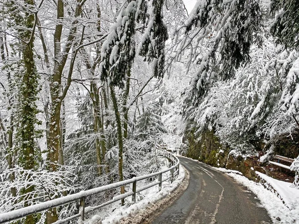 Trails for walking, hiking, sports and recreation in the winter environment of the mountain Rigi and over the Lake Lucerne (Vierwaldstattersee or Vierwaldstaettersee), Weggis - Switzerland (Schweiz)