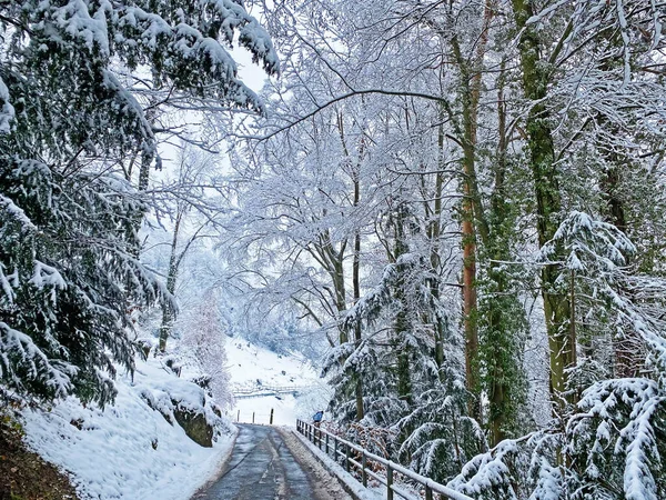 Trails for walking, hiking, sports and recreation in the winter environment of the mountain Rigi and over the Lake Lucerne (Vierwaldstattersee or Vierwaldstaettersee), Weggis - Switzerland (Schweiz)