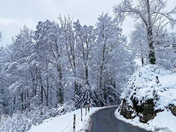 Trails for walking, hiking, sports and recreation in the winter environment of the mountain Rigi and over the Lake Lucerne (Vierwaldstattersee or Vierwaldstaettersee), Weggis - Switzerland (Schweiz)