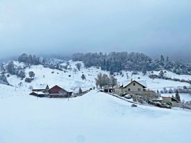 The subalpine settlement of Weggis below Mountain Rigi and along the shores of Lake Lucerne (Vierwaldstattersee or Vierwaldstaettersee) - Canton of Lucerne, Switzerland (Schweiz)