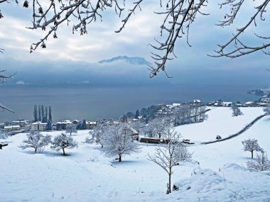 The subalpine settlement of Weggis below Mountain Rigi and along the shores of Lake Lucerne (Vierwaldstattersee or Vierwaldstaettersee) - Canton of Lucerne, Switzerland (Schweiz)