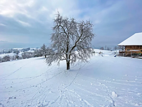 Idyllic Swiss Alpine Mountain Huts Traditional Swiss Rural Architecture Dressed — Stock fotografie