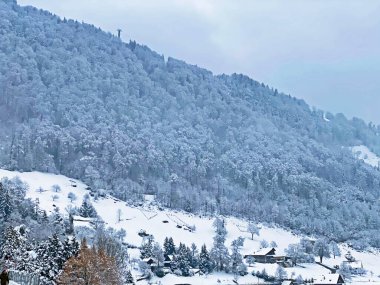 Fresh snow cover in the subalpine mixed forest on the slopes of Mountan Rigi, Weggis - Canton of Lucerne, Switzerland (Schweiz)