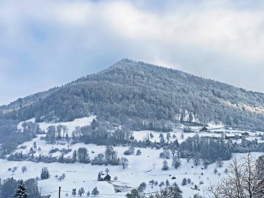 Fresh snow cover in the subalpine mixed forest on the slopes of Mountan Rigi, Weggis - Canton of Lucerne, Switzerland (Schweiz)