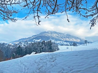 Fresh snow cover in the subalpine mixed forest on the slopes of Mountan Rigi, Weggis - Canton of Lucerne, Switzerland (Schweiz)