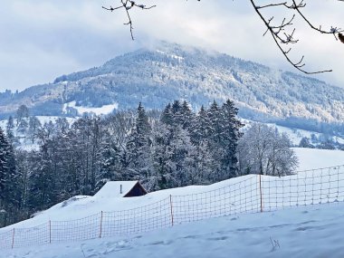 Fresh snow cover in the subalpine mixed forest on the slopes of Mountan Rigi, Weggis - Canton of Lucerne, Switzerland (Schweiz)
