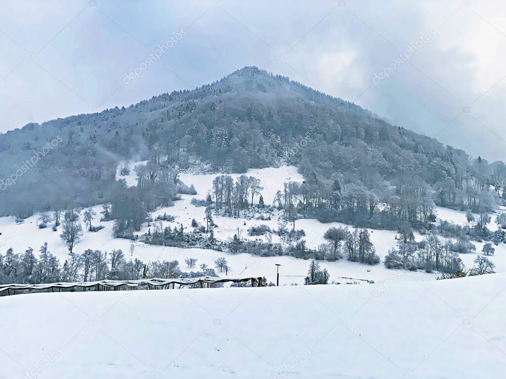 Fresh snow cover in the subalpine mixed forest on the slopes of Mountan Rigi, Weggis - Canton of Lucerne, Switzerland (Schweiz)