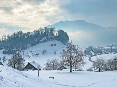 Kış mevsiminde Rigi Dağı yamaçlarında meyve ağaçları ve Lucerne Gölü (Vierwaldsattersee veya Vierwaldstaettersee), Weggis - İsviçre (Schweiz)