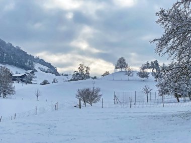 Kış mevsiminde Rigi Dağı yamaçlarında meyve ağaçları ve Lucerne Gölü (Vierwaldsattersee veya Vierwaldstaettersee), Weggis - İsviçre (Schweiz)