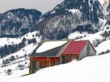 Walen Gölü veya Walenstadt Gölü (Walensee), Amden - İsviçre 'nin St. Gallen Kantonu (Schweiz)