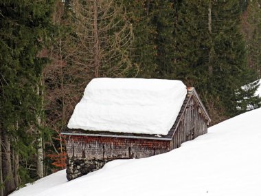 Walen Gölü veya Walenstadt Gölü (Walensee), Amden - İsviçre 'nin St. Gallen Kantonu (Schweiz)