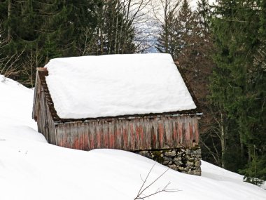 Walen Gölü veya Walenstadt Gölü (Walensee), Amden - İsviçre 'nin St. Gallen Kantonu (Schweiz)
