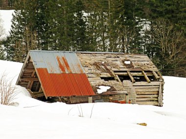 Walen Gölü veya Walenstadt Gölü (Walensee), Amden - İsviçre 'nin St. Gallen Kantonu (Schweiz)
