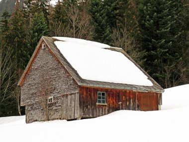 Walen Gölü veya Walenstadt Gölü (Walensee), Amden - İsviçre 'nin St. Gallen Kantonu (Schweiz)