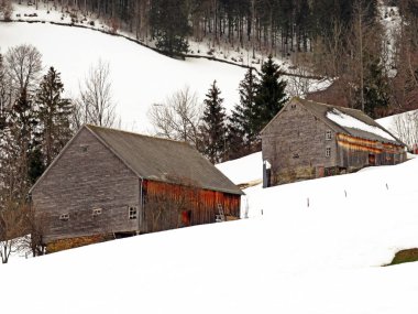 Walen Gölü veya Walenstadt Gölü (Walensee), Amden - İsviçre 'nin St. Gallen Kantonu (Schweiz)
