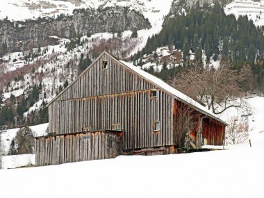 Walen Gölü veya Walenstadt Gölü (Walensee), Amden - İsviçre 'nin St. Gallen Kantonu (Schweiz)