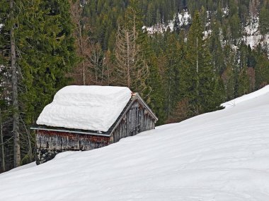Walen Gölü veya Walenstadt Gölü (Walensee), Amden - İsviçre 'nin St. Gallen Kantonu (Schweiz)