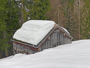 Walen Gölü veya Walenstadt Gölü (Walensee), Amden - İsviçre 'nin St. Gallen Kantonu (Schweiz)