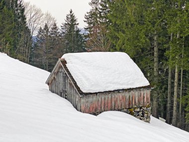 Walen Gölü veya Walenstadt Gölü (Walensee), Amden - İsviçre 'nin St. Gallen Kantonu (Schweiz)