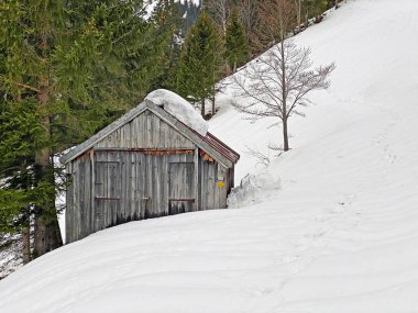 Walen Gölü veya Walenstadt Gölü (Walensee), Amden - İsviçre 'nin St. Gallen Kantonu (Schweiz)