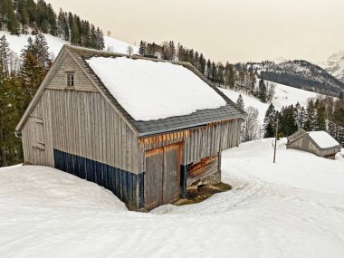 Walen Gölü veya Walenstadt Gölü (Walensee), Amden - İsviçre 'nin St. Gallen Kantonu (Schweiz)