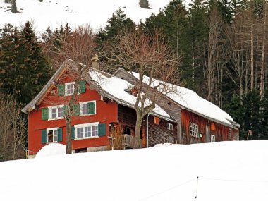Eski İsviçre kırsal mimarisi ve alp çiftlik çiftlikleri Walen Gölü veya Walenstadt Gölü (Walensee), Amden - İsviçre 'nin St. Gallen Kantonu, İsviçre