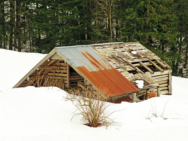 Walen Gölü veya Walenstadt Gölü (Walensee), Amden - İsviçre 'nin St. Gallen Kantonu (Schweiz)