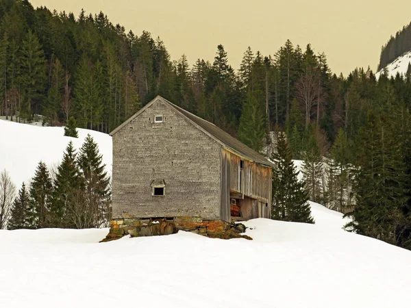 Walen Gölü veya Walenstadt Gölü (Walensee), Amden - İsviçre 'nin St. Gallen Kantonu (Schweiz)