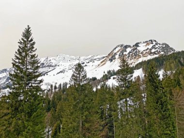 Karışık ormanlar ve Mattstogg dağ sırasının yamaçlarında seyreltilmiş ağaçlar ve Walen Gölü veya Walenstadt Gölü (Walensee), Amden - İsviçre 'nin St. Gallen Kantonu (Schweiz)
