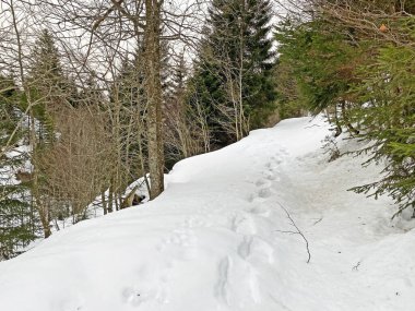 Mattstogg dağlarının taze kar örtüsü üzerinde ve Walen Gölü veya Walenstadt Gölü (Walensee) üzerinde (Walensee), Amden - İsviçre 'nin St. Gallen Kantonu (Schweiz)