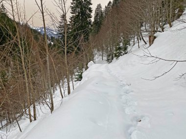Mattstogg dağlarının taze kar örtüsü üzerinde ve Walen Gölü veya Walenstadt Gölü (Walensee) üzerinde (Walensee), Amden - İsviçre 'nin St. Gallen Kantonu (Schweiz)