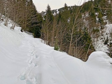 Mattstogg dağlarının taze kar örtüsü üzerinde ve Walen Gölü veya Walenstadt Gölü (Walensee) üzerinde (Walensee), Amden - İsviçre 'nin St. Gallen Kantonu (Schweiz)